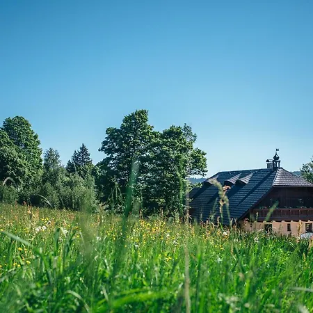 Guest house Penzion U Vlci Stezky 3*