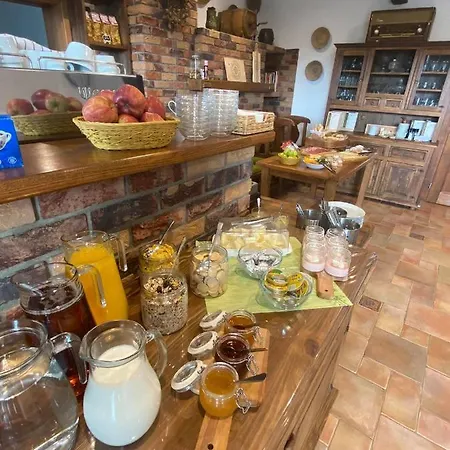 Penzion U Vlci Stezky Guest house 3*
